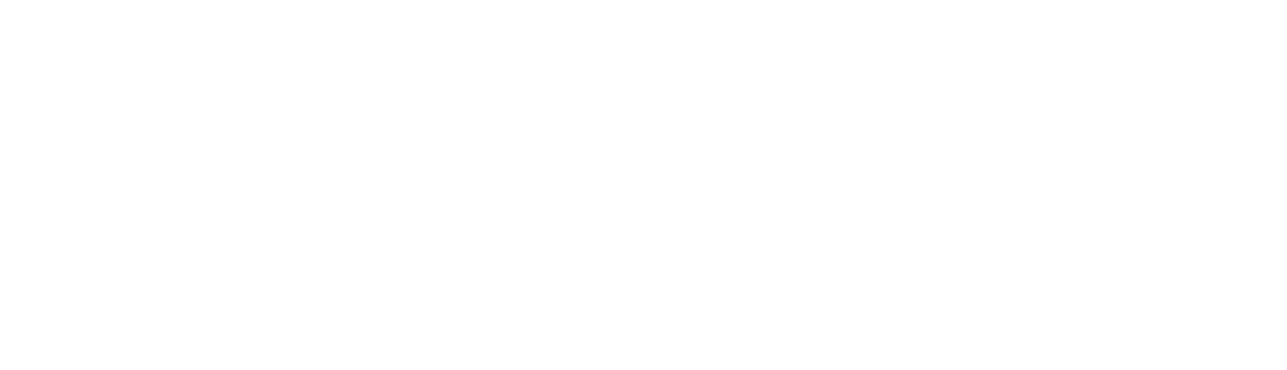 Einvoo Logo PNG